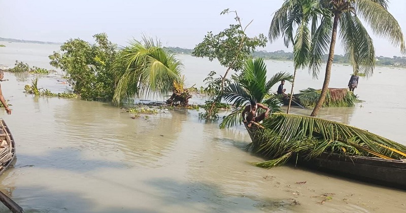 ছবি: প্রতিনিধি