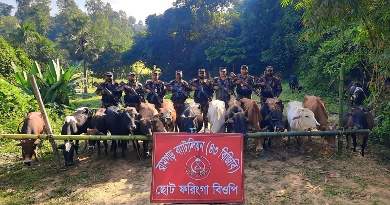 ছবি: প্রতিনিধি