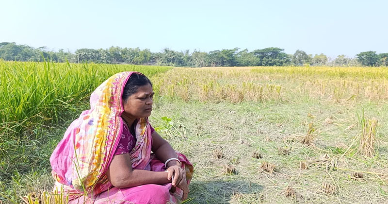 ছবি: প্রতিনিধি