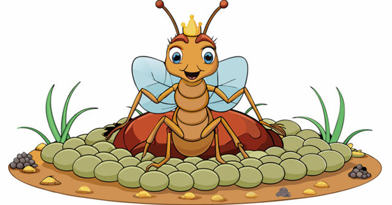 ছবি : খোলা কাগজ