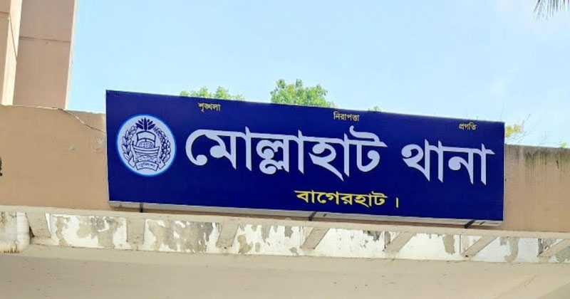 ফাইল ছবি