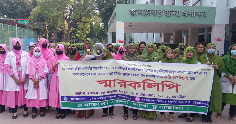 চুয়াডাঙ্গায় নার্সদের স্মারকলিপি প্রদান। ছবি: প্রতিনিধি