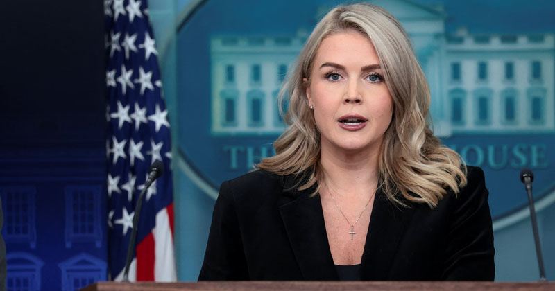 ক্যারোলিন লেভিট