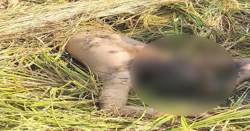 ছবি: প্রতিনিধি