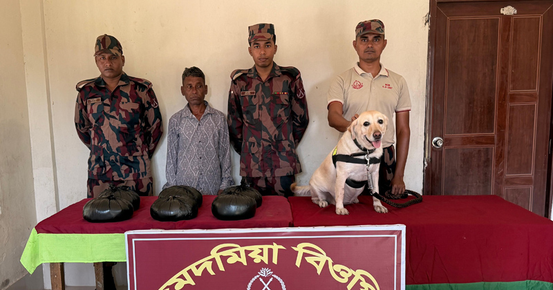 টেকনাফে বিজিবির পৃথক অভিযানে মাদকসহ আটক ২