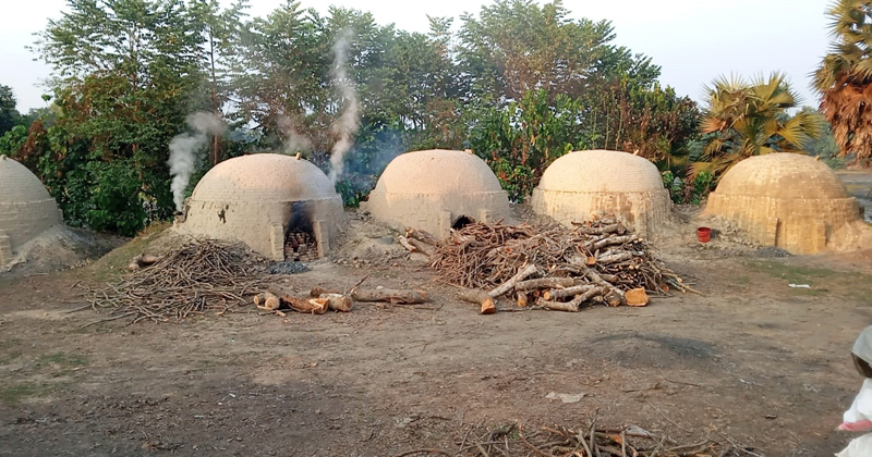 কাপাসিয়ায় অবৈধ কয়লা চুল্লি পুনরায় চালু, পরিবেশ বিপর্যস্ত