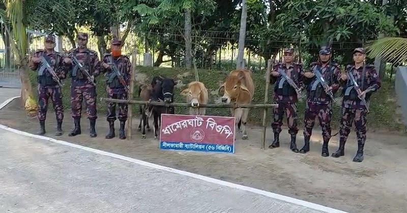 ছবি: প্রতিনিধি