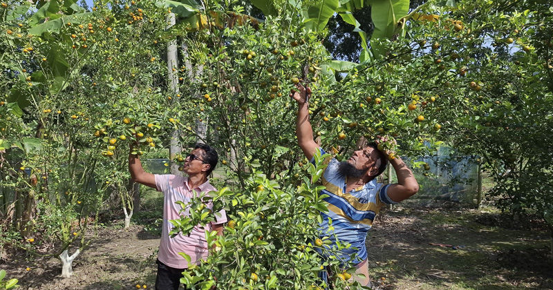 ছবি: প্রতিনিধি