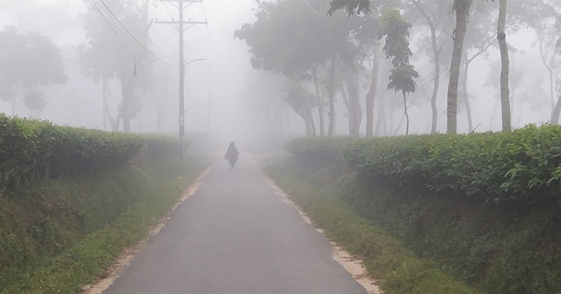 দেশের সর্বনিম্ন তাপমাত্রা শ্রীমঙ্গলে ১২.৫ ডিগ্রি