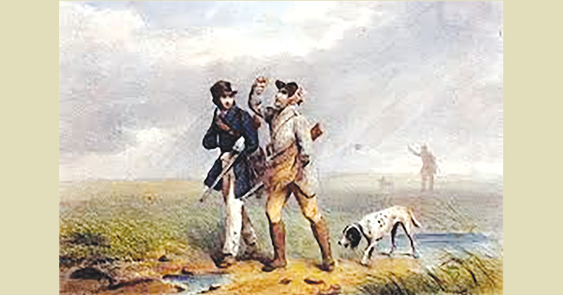 ছবি : খোলা কাগজ