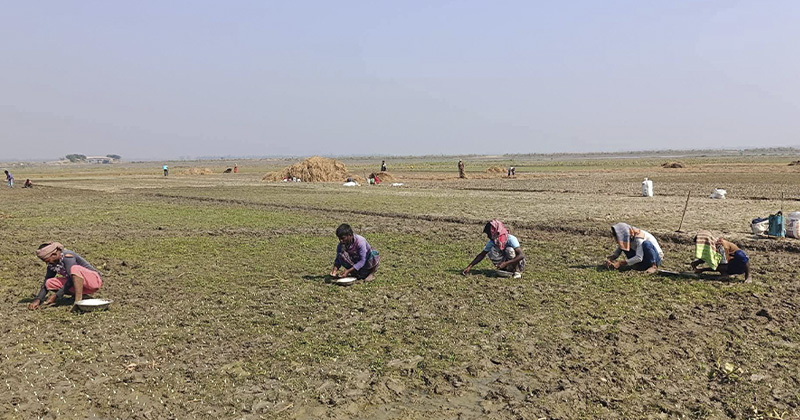 ছবি: প্রতিনিধি