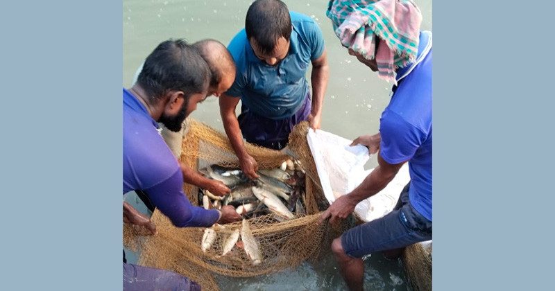 ছবি: প্রতিনিধি