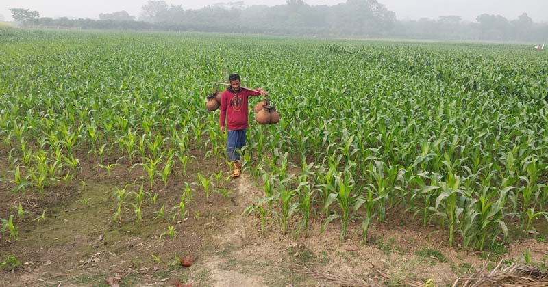 ছবি: প্রতিনিধি