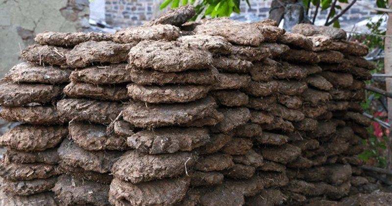 গোবর জ্বালানি
