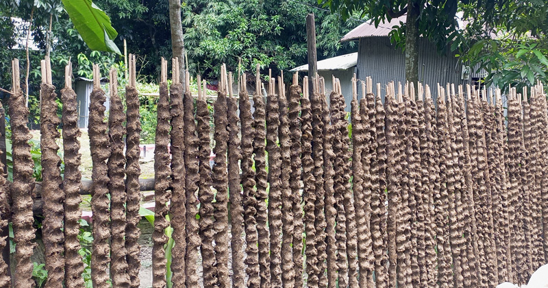 গোবর জ্বালানি