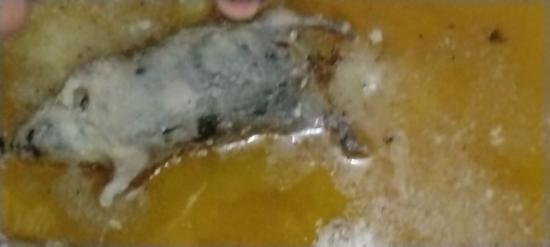 ছবি : প্রতিনিধি