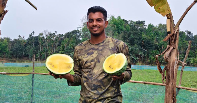 ছবি : খোলা কাগজ