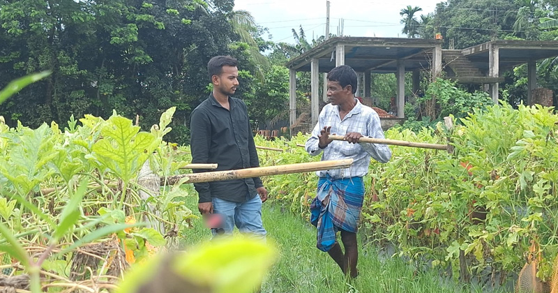 মালচিং পদ্ধতিতে অসময়ে তরমুজ চাষ