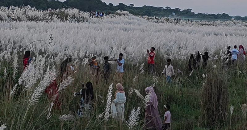 কেউ আসছেন পরিবার নিয়ে, কেউ বন্ধুদের সঙ্গে। ছবি : প্রতিনিধি