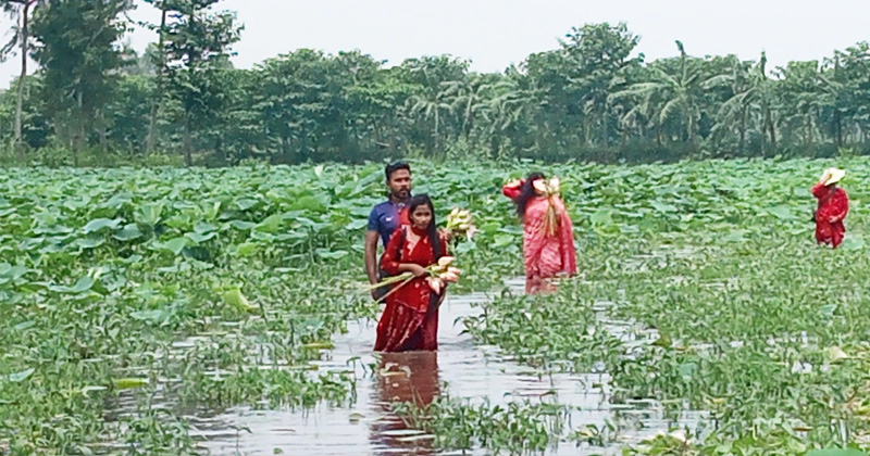 ছবি: খোলা কাগজ