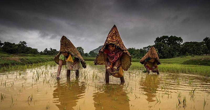 ছবি: খোলা কাগজ