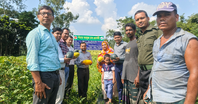 গ্রীষ্মকালীন তরমুজ
