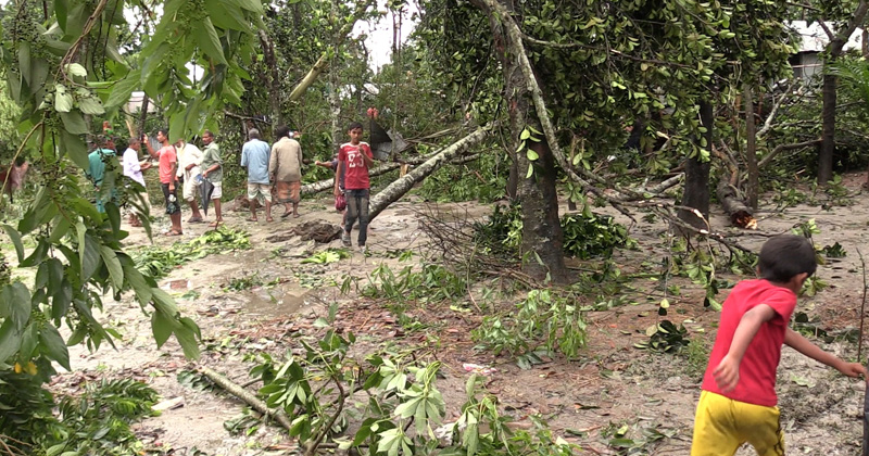 ছবি : খোলা কাগজ