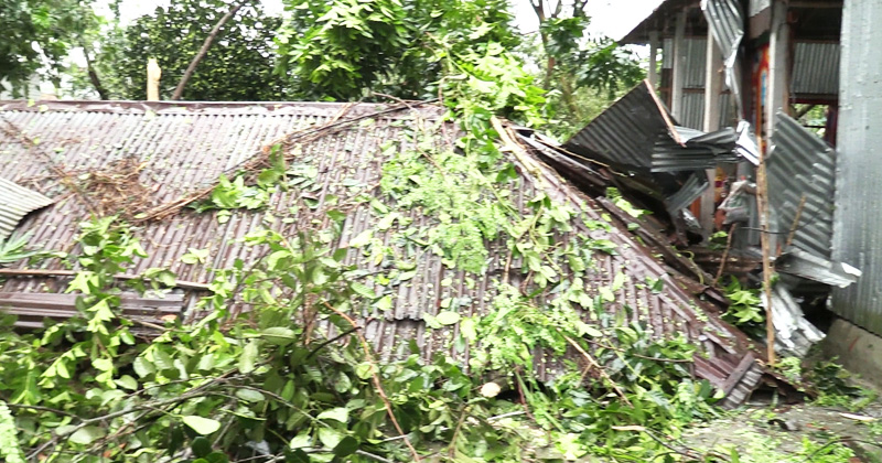 ছবি : খোলা কাগজ