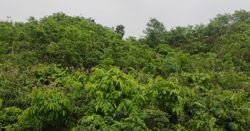 ছবি: খোলা কাগজ