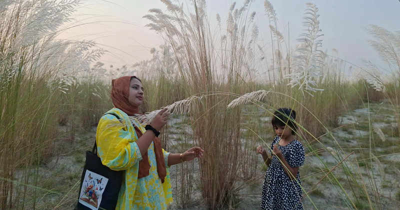 কাশফুলের সৌন্দর্য উপভোগ করতে আসা দর্শনার্থী